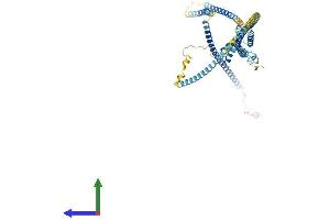 AlphaFold protein structure predicition of Human Recombinant CCDC148 Protein, UniprotID Q8NFR7 (CCDC148 Protein (AA 1-591) (His tag))