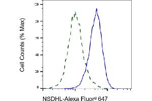 Validation of NSDHL knockdown using flow cytometry.