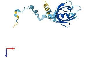 PDZD11 Protein (AA 1-140) (His tag)