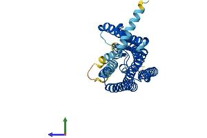 AlphaFold protein structure predicition of Human Recombinant OR8J1 Protein, UniprotID Q8NGP2 (OR8J1 Protein (AA 1-316) (His tag))