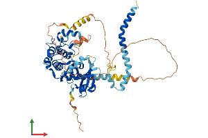 AlphaFold protein structure predicition of Mouse Recombinant Stk4 Protein, UniprotID Q9JI11 (STK4 Protein (AA 1-487) (His tag))