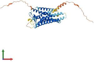 AlphaFold protein structure predicition of Mouse Recombinant Ptger3 Protein, UniprotID P30557