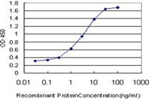 Detection limit for recombinant GST tagged RASGRP4 is approximately 0. (RASGRP4 antibody  (AA 574-673))