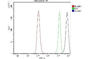 Flow Cytometry analysis of RT4 cells using anti-ALDH3A1 antibody (ABIN7602181). (ALDH3A1 antibody  (AA 62-101))