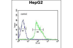 Flow cytometric analysis of HepG2 cells (right histogram) compared to a negative control cell (left histogram). (UBP17 antibody  (C-Term))