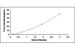 Typical standard curve (MANSC1 ELISA Kit)