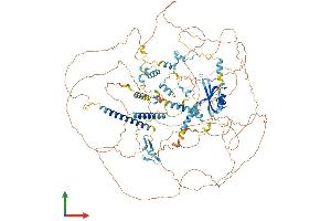 AlphaFold protein structure predicition of Human Recombinant NOL8 Protein, UniprotID Q76FK4 (NOL8 Protein (AA 1-1167) (His tag))