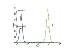 Flow cytometric analysis of WiDr cells (right histogram) compared to a negative control cell (left histogram). (IL-4 antibody  (C-Term))