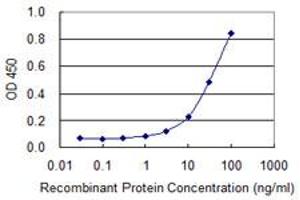 Detection limit for recombinant GST tagged AMY2B is 1 ng/ml as a capture antibody. (AMY2B antibody  (AA 19-117))