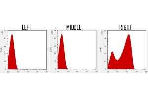 Flow Cytometry (FACS) image for Streptavidin protein (PE) (ABIN964539)