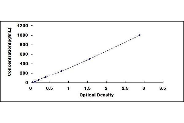 CXCL10 ELISA Kit