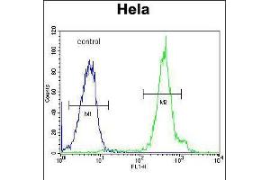 Flow cytometric analysis of Hela cells (right histogram) compared to a negative control cell (left histogram). (FUS antibody  (C-Term))