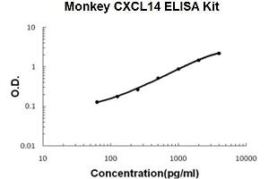Monkey Primate CXCL14 PicoKine ELISA Kit standard curve (CXCL14 ELISA Kit)