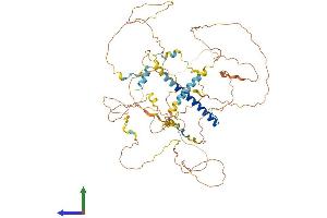 AlphaFold protein structure predicition of Mouse Recombinant Crtc1 Protein, UniprotID Q68ED7 (CRTC1 Protein (AA 1-630) (His tag))
