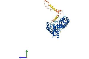 Protein Structure (PS) image for Smith-Magenis Syndrome Chromosome Region, Candidate 7 (SMCR7) (AA 1-454) protein (His tag) (ABIN7557485)