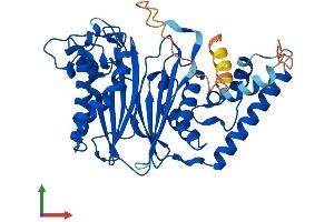 AlphaFold protein structure predicition of Mouse Recombinant Ppm1n Protein, UniprotID Q8BGL1