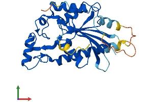 Protein Structure (PS) image for TP53 induced glycolysis regulatory phosphatase (TIGAR) (AA 1-269) protein (His tag) (ABIN7564474)