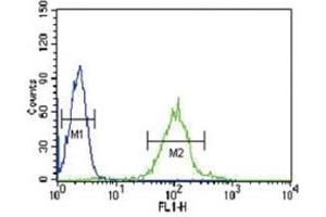 IRF8 antibody flow cytometric analysis of HL-60 cells (green) compared to a negative control (blue). (IRF8 antibody  (AA 384-409))