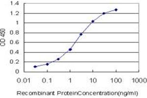 Detection limit for recombinant GST tagged PPP1R14A is approximately 0. (CPI-17 antibody  (AA 1-147))