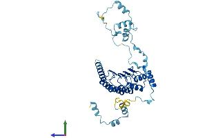AlphaFold protein structure predicition of Human Recombinant TMOD4 Protein, UniprotID Q9NZQ9