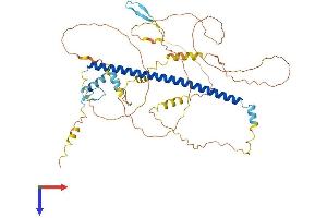 ATF2 Protein (AA 1-505) (His tag)