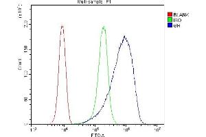 anti-Nuclear Receptor Subfamily 3, Group C, Member 1 (Glucocorticoid Receptor) (NR3C1) (AA 1-373) antibody