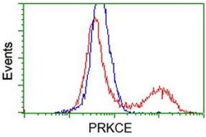 Flow Cytometry (FACS) image for anti-Protein Kinase C, epsilon (PRKCE) antibody (ABIN1500234) (PKC epsilon antibody)