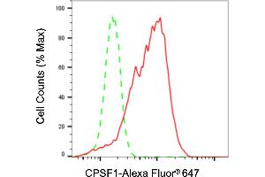 Flow cytometric analysis of CPSF1 expression in HepG2 cells using CPSF1 antibody (ABIN7798095), 1:2,000). (CPSF1 antibody)