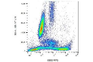 Surface staining of CD52 in human peripheral blood with anti-CD52 (HI186) FITC. (CD52 antibody  (FITC))