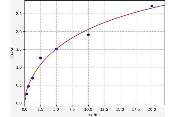 CRBN ELISA Kit