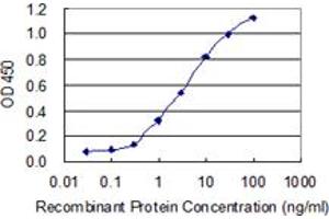 Detection limit for recombinant GST tagged KRT34 is 0. (Keratin 34 antibody  (AA 337-436))