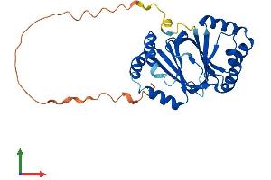 Protein Structure (PS) image for 4-Nitrophenylphosphatase Domain and Non-Neuronal SNAP25-Like Protein Homolog 1 (NIPSNAP1) (AA 1-284) protein (His tag) (ABIN7562485)