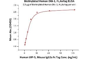 Immobilized Biotinylated Human Dkk-1, Fc,Avitag (ABIN6253199,ABIN6253585) at 5 μg/mL (100 μL/well) on Streptavidin  precoated (0. (DKK1 Protein (AA 32-266) (Fc Tag,AVI tag,Biotin))