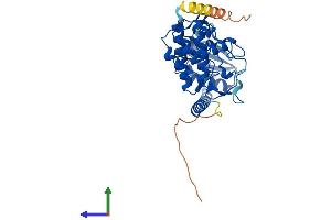 AlphaFold protein structure predicition of Mouse Recombinant Sbk2 Protein, UniprotID P0C5K1 (Sbk2 Protein (AA 1-362) (His tag))