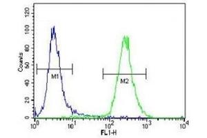SOD2 antibody flow cytometric analysis of NCI-H460 cells (green) compared to a negative control (blue).
