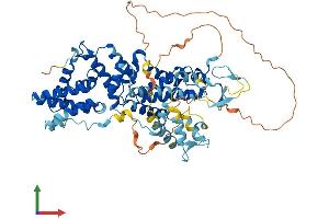 AlphaFold protein structure predicition of Human Recombinant RASGRP2 Protein, UniprotID Q7LDG7