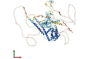 AlphaFold protein structure predicition of Mouse Recombinant Cherp Protein, UniprotID Q8CGZ0