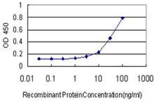Detection limit for recombinant GST tagged FGF1 is approximately 3ng/ml as a capture antibody. (FGF1 antibody  (AA 46-155))