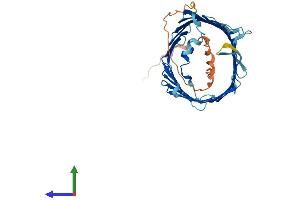Protein Structure (PS) image for Translocase of Outer Mitochondrial Membrane 40 Homolog (TOMM40) (AA 1-361) protein (His tag) (ABIN7561783)