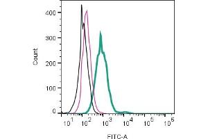 Cell surface detection of Leptin Receptor by direct flow cytometry in live intact mouse J774 macrophage cell line: + Rabbit IgG isotype control-FITC (ABIN7582044).