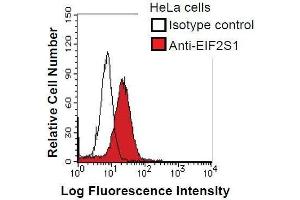 HeLa cells were fixed in 2% paraformaldehyde/PBS and then permeabilized in 90% methanol. (EIF2S1 antibody)