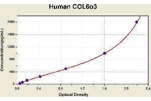 Diagramm of the ELISA kit to detect Human COL6alpha 3with the optical density on the x-axis and the concentration on the y-axis. (COL6a3 ELISA Kit)