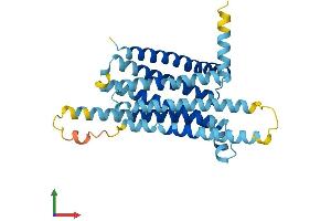 AlphaFold protein structure predicition of Human Recombinant TAS2R8 Protein, UniprotID Q9NYW2 (TAS2R8 Protein (AA 1-309) (His tag))