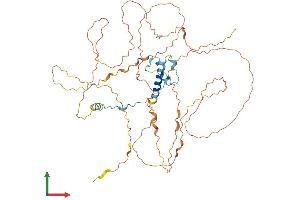 AlphaFold protein structure predicition of Human Recombinant FAM217A Protein, UniprotID Q8IXS0 (FAM217A Protein (AA 1-508) (His tag))