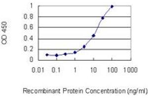 Detection limit for recombinant GST tagged C2orf62 is 0. (C2orf62 antibody  (AA 1-387))