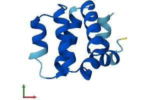 AlphaFold protein structure predicition of Human Recombinant CARD18 Protein, UniprotID P57730 (CARD18 Protein (AA 1-90) (His tag))