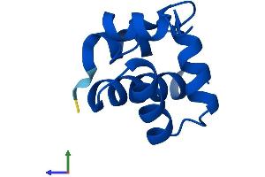 Protein Structure (PS) image for Barrier To Autointegration Factor 1 (BANF1) (AA 1-89) protein (His tag) (ABIN7562456)