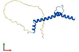 Protein Structure (PS) image for Nescient Helix Loop Helix 1 (NHLH1) (AA 1-133) protein (His tag) (ABIN7548282)