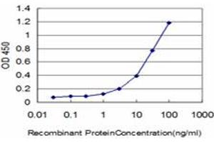 Detection limit for recombinant GST tagged GSTM5 is approximately 1ng/ml as a capture antibody. (GSTM5 antibody  (AA 145-218))