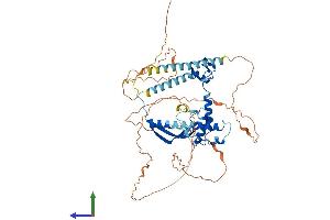 AlphaFold protein structure predicition of Mouse Recombinant Csrnp2 Protein, UniprotID Q8BGQ2